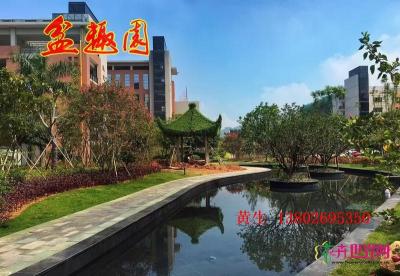 公园小区榕树亭