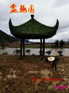 公园小区榕树亭