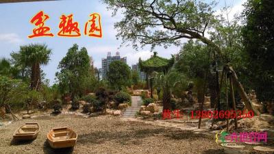 公园小区榕树亭