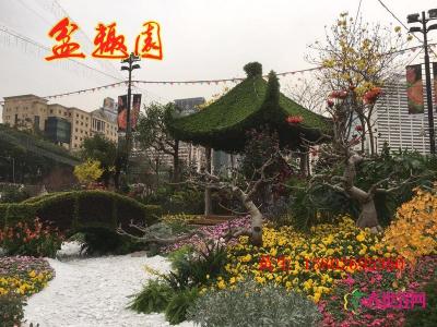 公园小区榕树亭